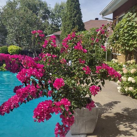 Gite Chez Baza Shawinigan Bagian luar foto